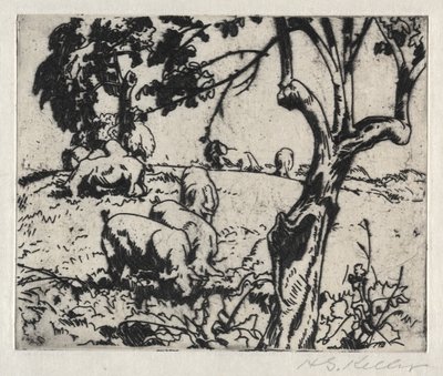 Cochons dans le verger - Henry Keller