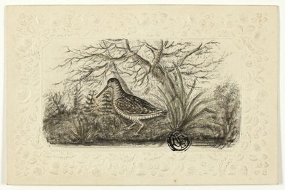 Tétras - Henry Lejeune