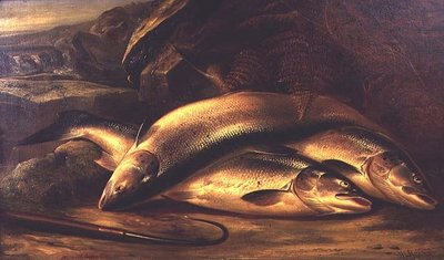 Nature morte de saumon - Henry Leonidas Rolfe