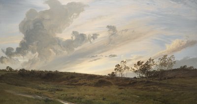 Une soirée sauvage après la pluie, Yorkshire - Henry Moore