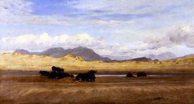 Côte du nord du Pays de Galles, bétail se prélassant sur la plage - Henry Moore