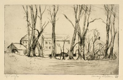 Bâtiment ressemblant à un hôpital vu entre de grands arbres - Henry Nielsen