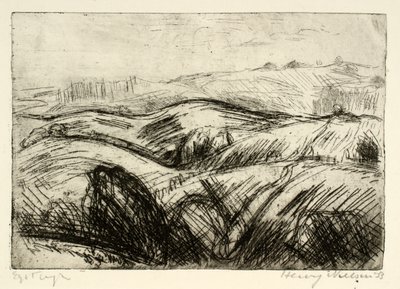 Paysage vallonné - Henry Nielsen