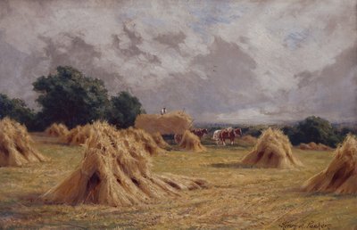Un champ de maïs à Harlow, Essex - Henry Parker