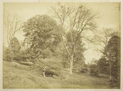 Tir aux corbeaux - Henry Peach Robinson