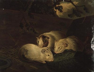 Étude primitive de cochons d