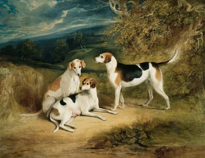 Les Chiens du Duc de Rutland avec le Château de Belvoir au Loin, 1828 - Henry Perlee Parker