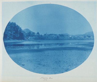 Dakota, Minn. - Henry Peter Bosse