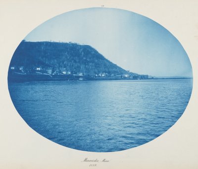 Minneiska, Minn. - Henry Peter Bosse