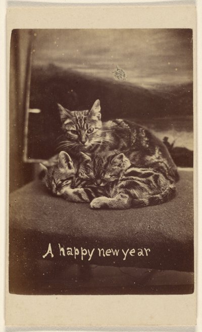 Une bonne année - Henry Pointer