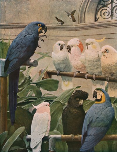 Un comité de sélection, 1891 - Henry Stacey Marks