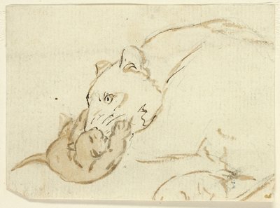 Cinq croquis de lions : Lionne et lionceau - Henry Stacy Marks
