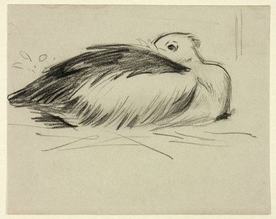 Croquis de la cigogne nicheuse - Henry Stacy Marks
