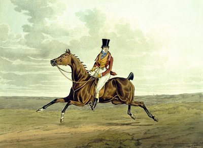 Un Meltonian tel qu