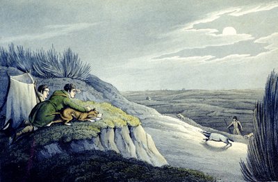 Capture de blaireau des National Sports of Great Britain (gravé par J.H. Clarke) - Henry Thomas (after) Alken