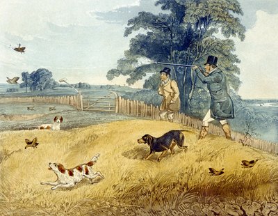 Chasse aux oiseaux, planche de 