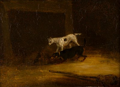 Deux terriers essayant d