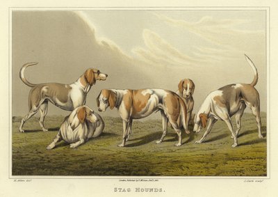 Chiens de chasse (chromolithographie) - Henry Thomas Alken