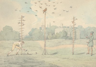 « Les sports nationaux de Grande-Bretagne », 1821 : la chasse à la chouette - Henry Thomas Alken