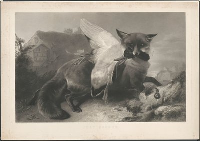 Just caught: un renard a volé un canard. D