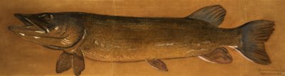 Brochet - Henry Thomson