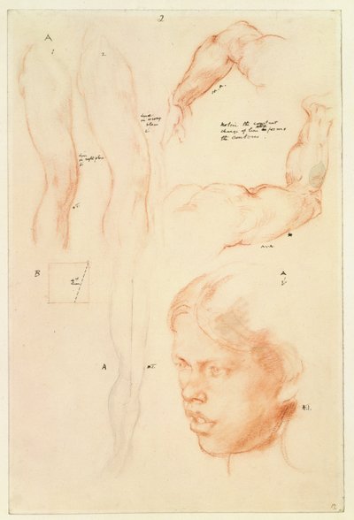 Démonstration annotée : Dessins et étude de la tête d
