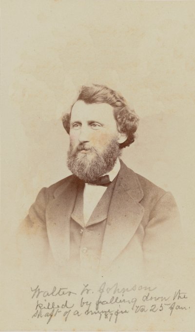 Carte-de-visite portrait de Walter W. Johnson, 1868 - Henry Ulke