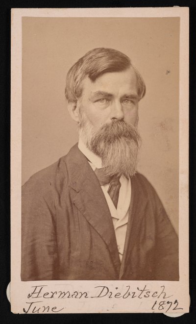 Portrait de Herman Henry Diebitsch - Henry Ulke