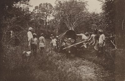 Villes en ruines de Ceylan : en route pour Polonnaruwa - Henry W. Cave