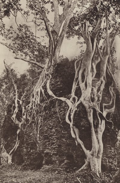 Villes en ruines de Ceylan : Kotuwa - Henry W. Cave