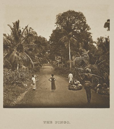 Le Pingo - Henry W. Cave