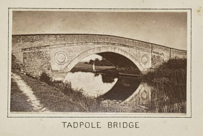 Pont Tadpole - Henry W. Taunt