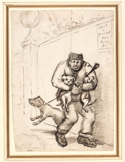 Perdu un chiot bouledogue chinois £ 10 récompense - Henry William Bunbury