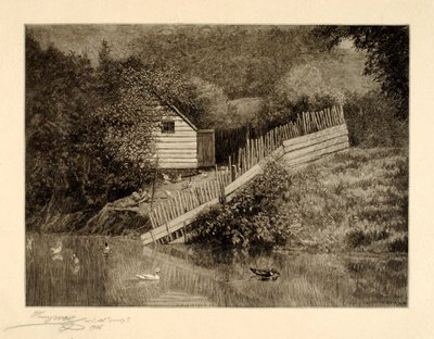 Une mare aux canards - Henry Wolf