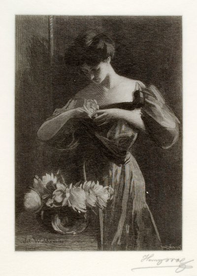 Une fleur - Henry Wolf