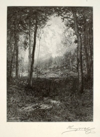 Dans les Adirondacks - Henry Wolf