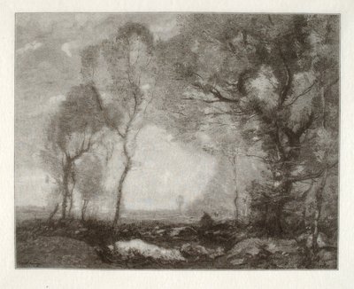 Paysage - Henry Wolf