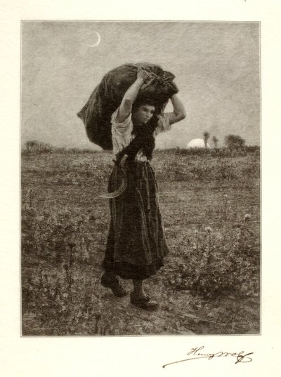 Le Soir - Henry Wolf