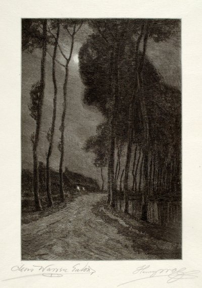 Clair de lune en Hollande - Henry Wolf