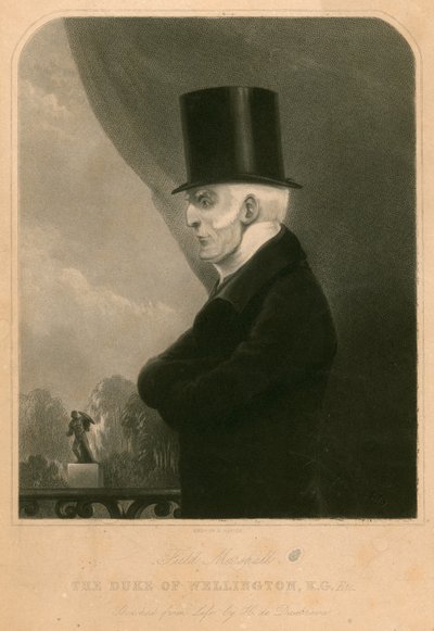 Le Duc de Wellington - Henry de Daubrava