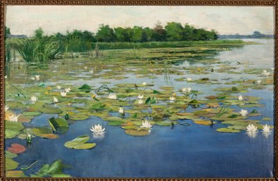 Nénuphars - Henryk Weyssenhoff