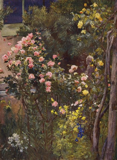 Dans un jardin de roses, Catherine Mermet et Maréchal Niel chez eux - Herbert Arnould Olivier