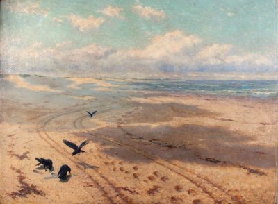 Sables de Newton - Herbert Charles Sheppard