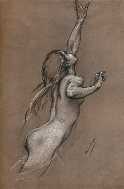 Étude de poisson volant, vers 1910 - Herbert James Draper