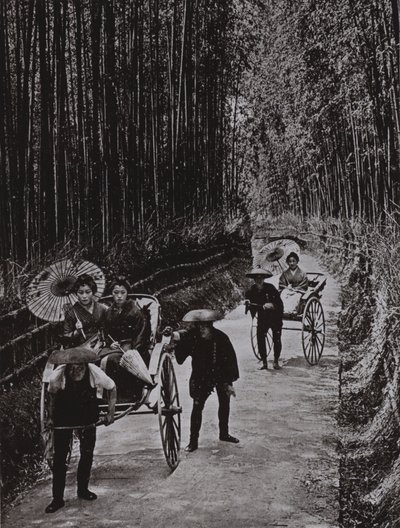 Une avenue de bambous à Kyoto (photo n/b) - Herbert Ponting