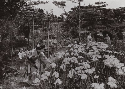 Au jardin d