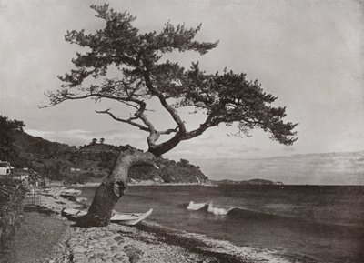 Atami (photo n/b) - Herbert Ponting