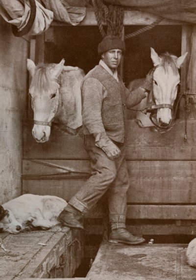 Le capitaine Oates et les poneys sur le Terra Nova, vers 1910-1912 - Herbert Ponting