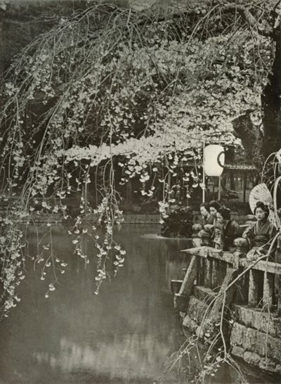 Temps des cerisiers en fleurs au Japon, 1910 - Herbert Ponting