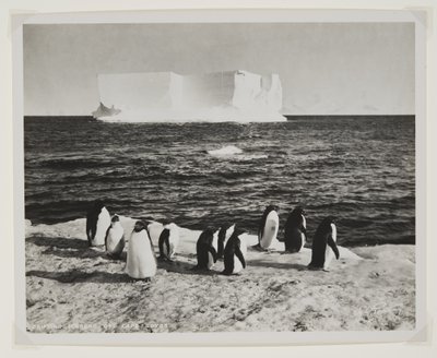 Iceberg à la dérive au large du cap Royds - Herbert Ponting